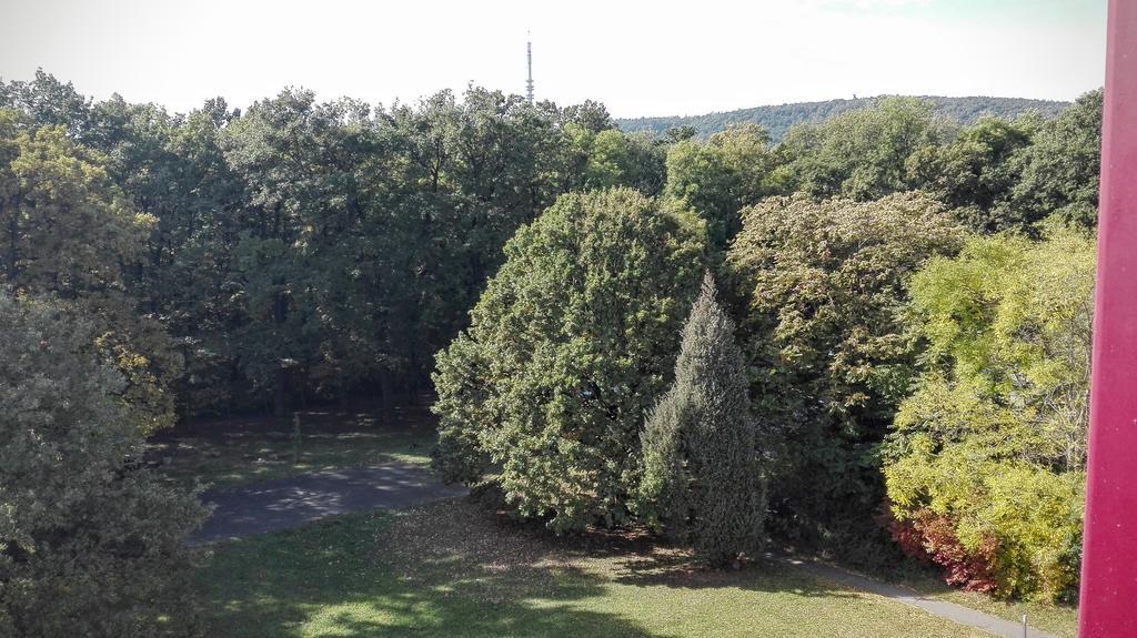 Feszek Apartman ショプロン エクステリア 写真